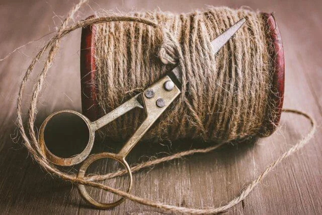 Jute Fiber: Properties, Uses, Benefits & Environmental Impact Explained